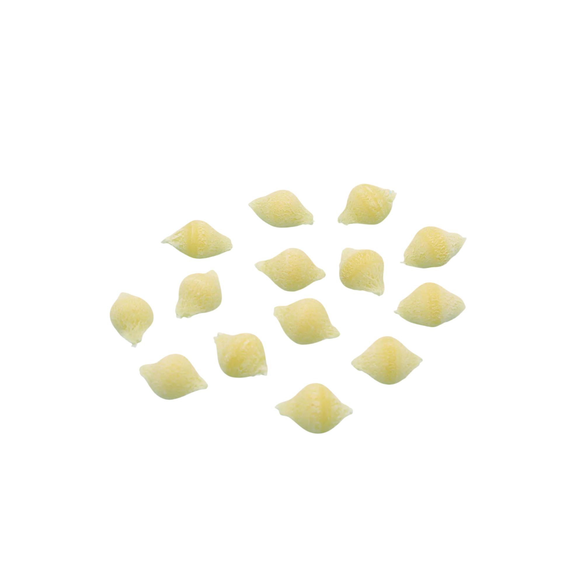 messing matrize conchigliette lisce 10 mm – für pn100, pasta bella, emma und lillodue