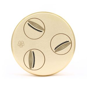 matrize messing gnocchi sardi 19 mm tr75 sela la pastaia korngold avanici omegaone