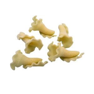 gigli ricci glatt matrize | bottene pm50 & inver7